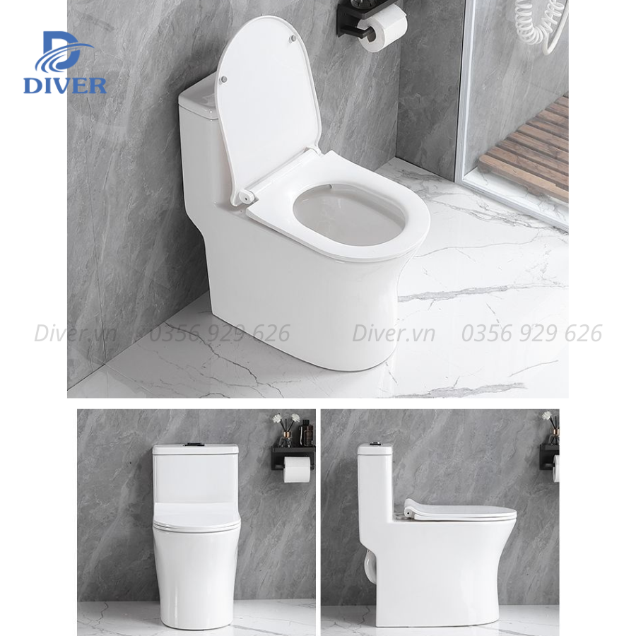 Bồn Cầu Liền Khối – D09
