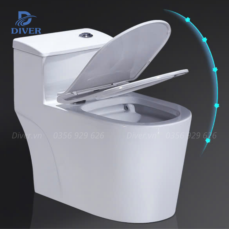 Bồn Cầu Liền Khối – D10