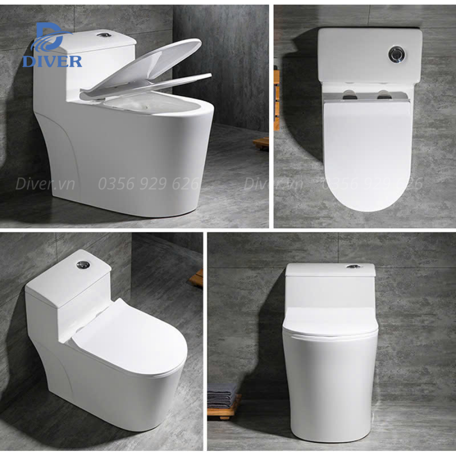 Bồn Cầu Liền Khối – D10