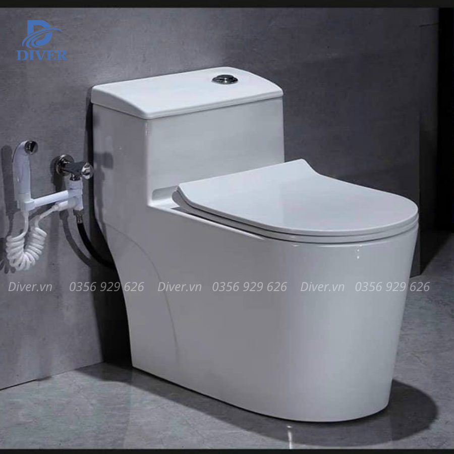Bồn Cầu Liền Khối – D10