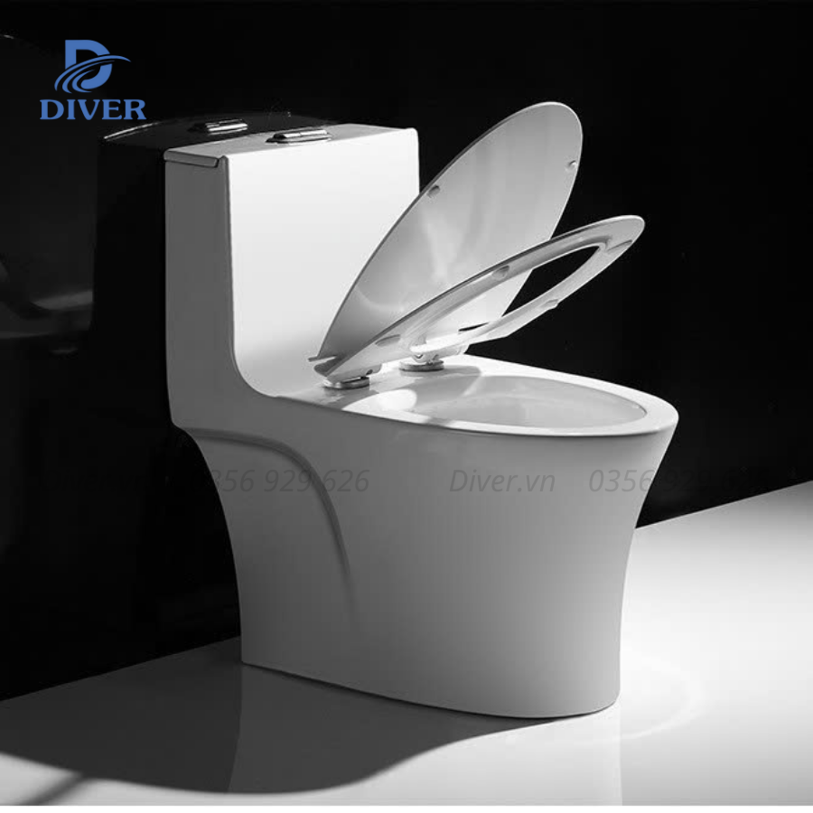 Bồn Cầu Liền Khối – D15