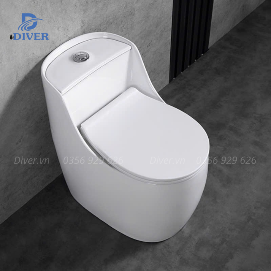 Bồn Cầu Liền Khối – D105