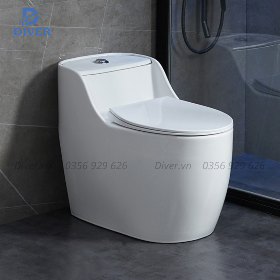 Bồn Cầu Liền Khối – D105